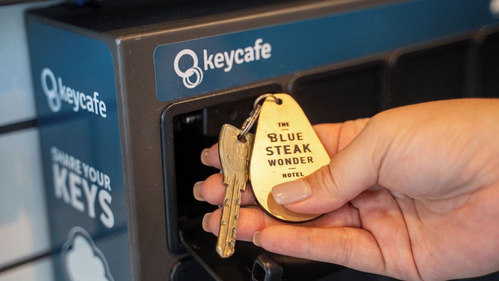 BLUE STEAK WONDER CHATAN 3