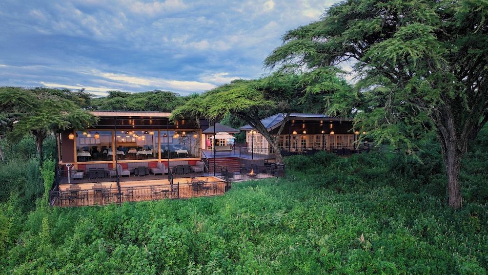 Ngorongoro Lions Paw