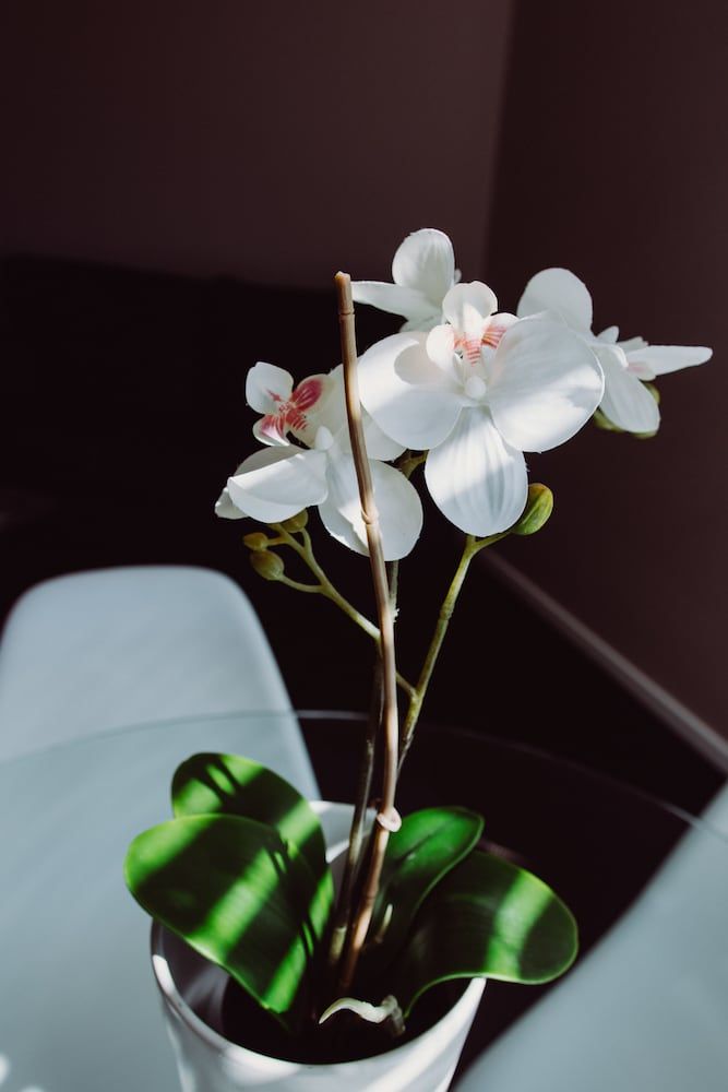 Crossroads Hotel Narrabri 3