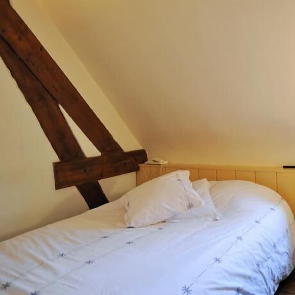 Hôtel La Résidence Manoir de La Salamandre 2