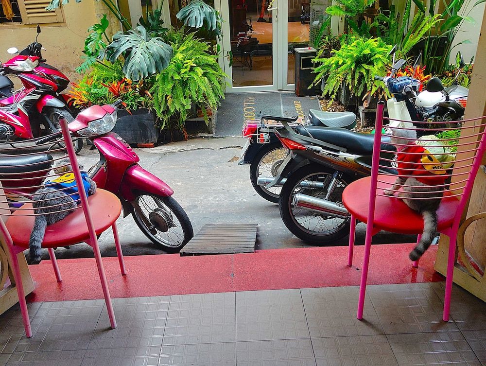 Sakura Hostel Saigon 1
