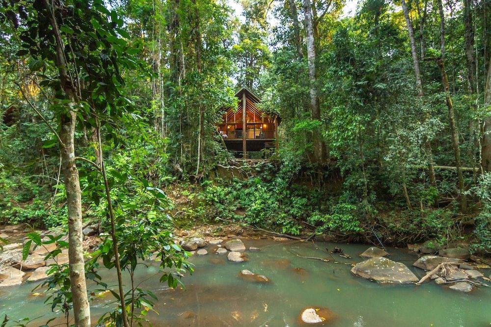 The Canopy Rainforest Treehouses and Wildlife Sanctuary