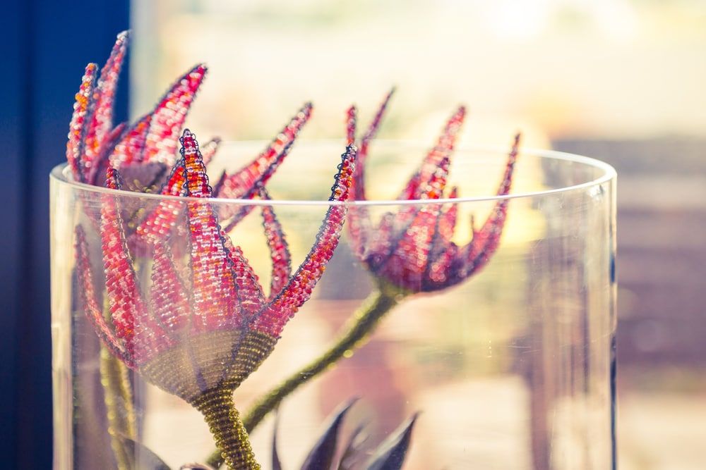 Le Mahi Guest House 2