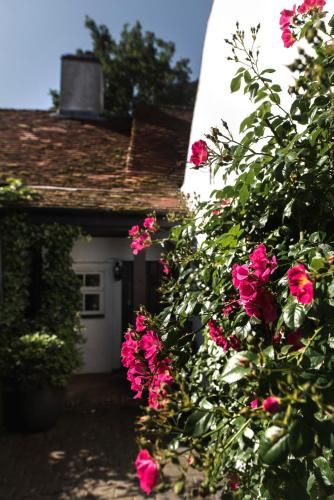 The Jasmine Room 3