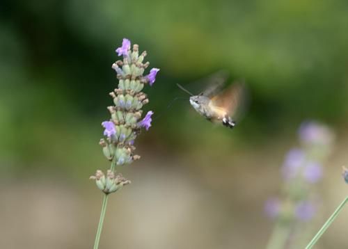 Agriturismo Casagrande 3