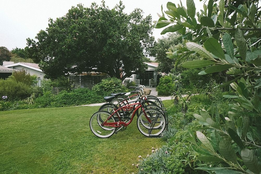 Lovemore Lodges Knysna 3