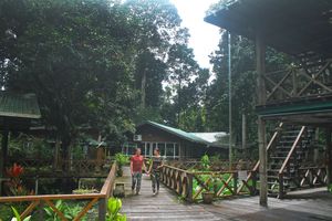 Borneo Nature Lodge