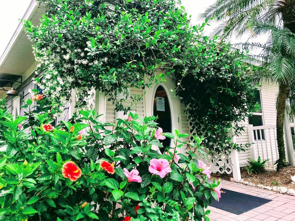 Sanibel Siesta on the Beach 2
