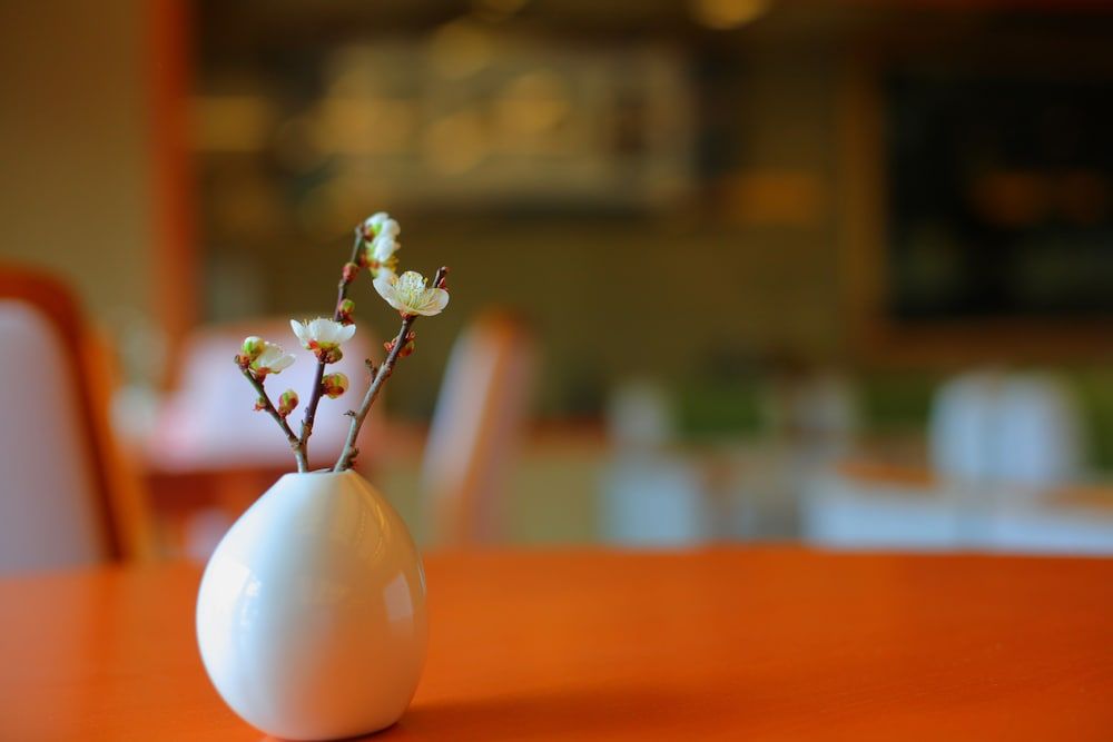 Himi Onsenkyo Uomeguri No Yado Eihokaku 2