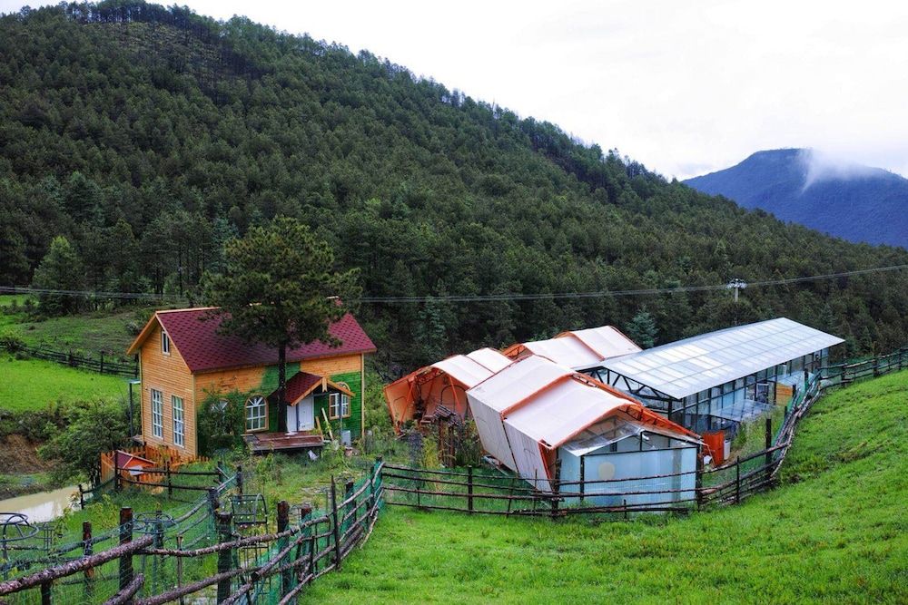 Snow Mountain ·Flower Blossom