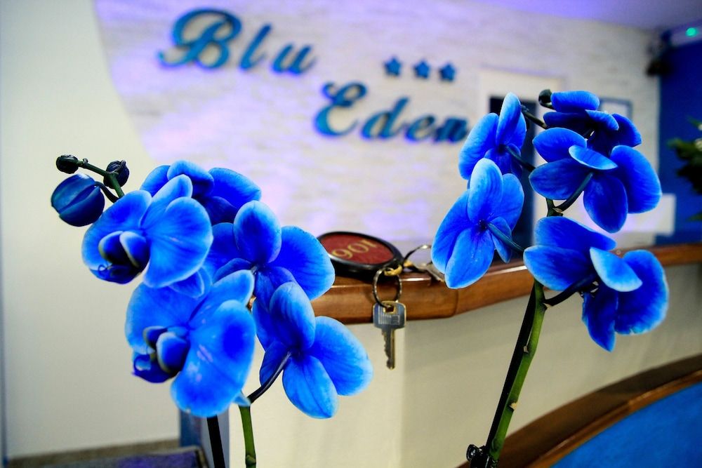 Hotel Blu Eden 3