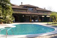 All'ombra del palmeto