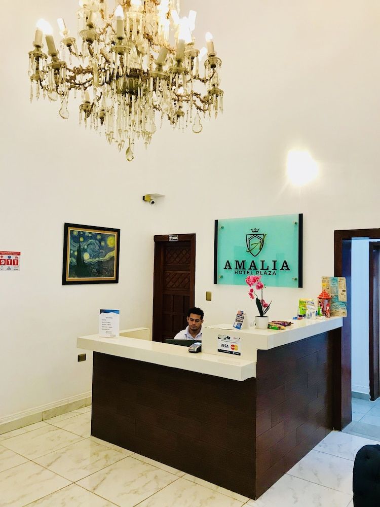Hotel Plaza Amalia 2