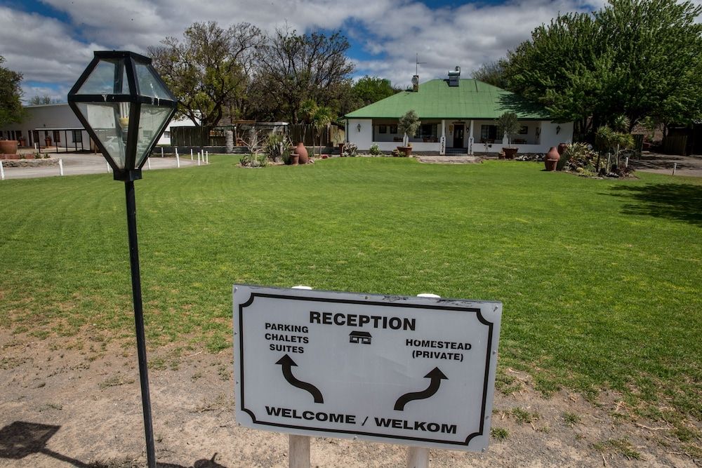 Olive Grove Guest Farm 3