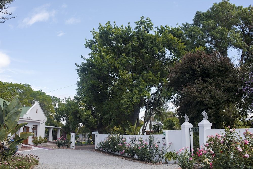 Green Olive Guesthouse 2