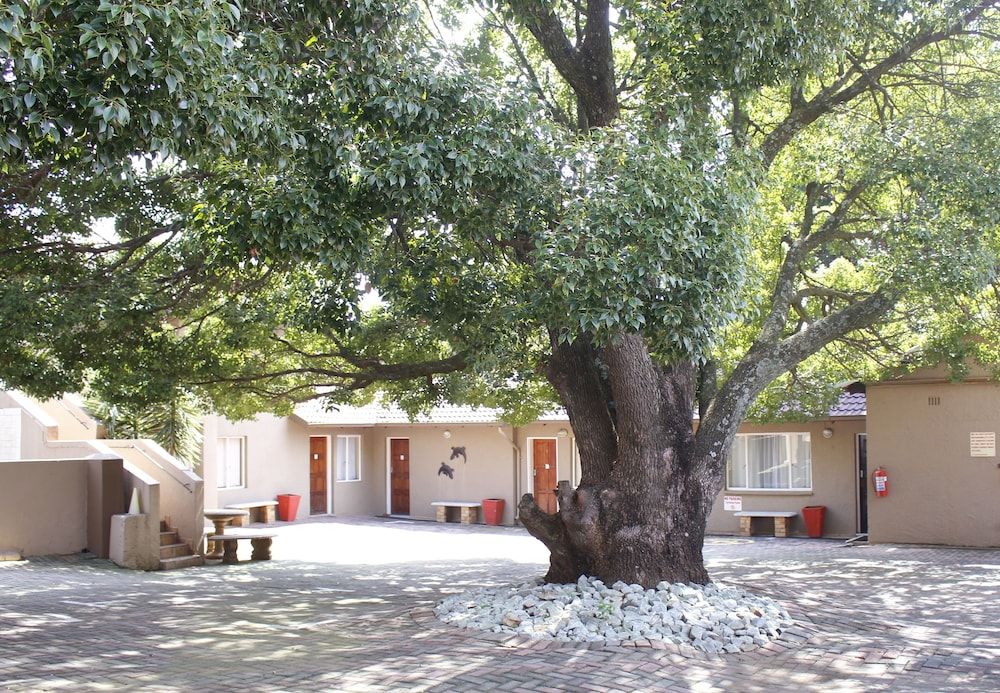 African Sky Bed and Breakfast -1 estrellas en Johannesburg