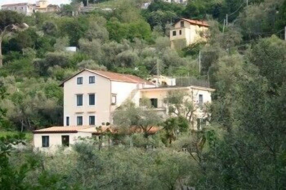 Gli Ulivi Agriturismo 1