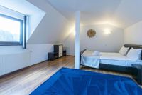 Villa Pinul Si Mesteacanul