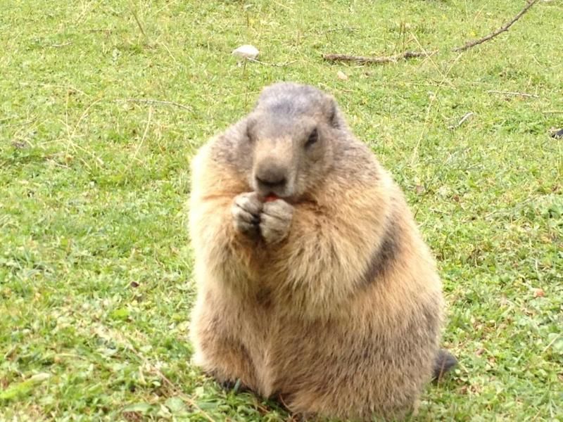 Hanneshof Resort - Hanneshof 1