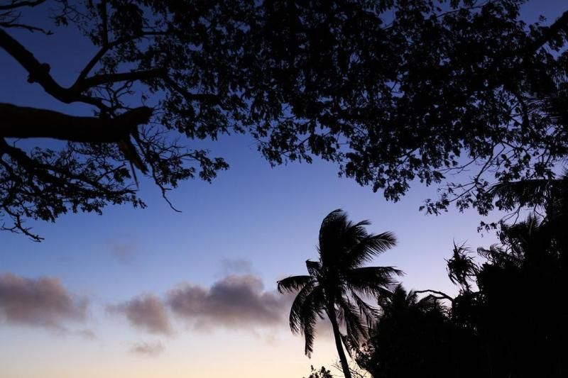 Funky Fish Beach Resort 3