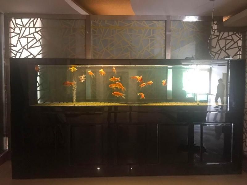 7 Days Premiuma Baoding Zhuozhou Development Zone 2