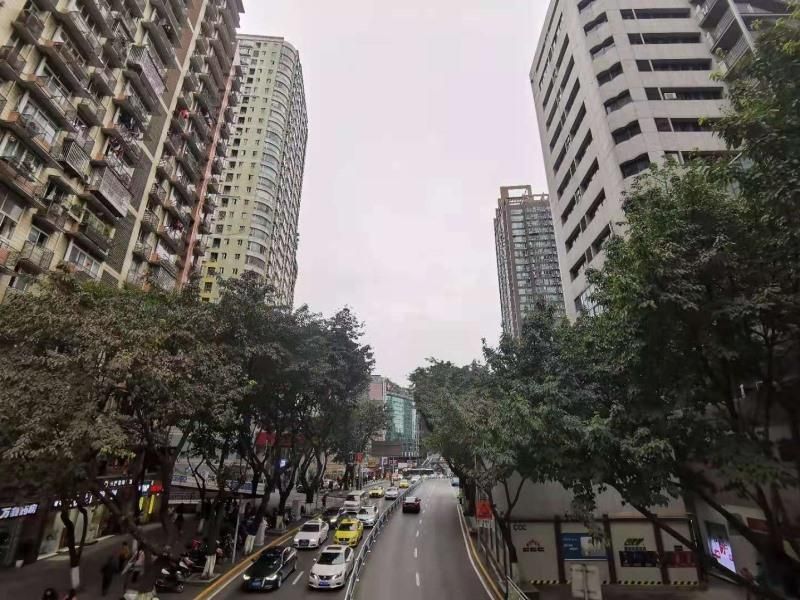 GreenTree Eastern Chongqing Jiefangbei Children's  2