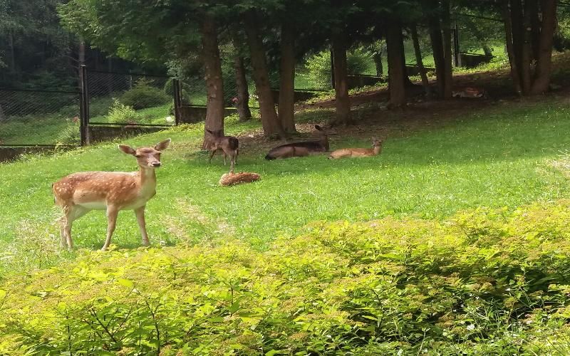 Geovita Krynica Zdroj 2