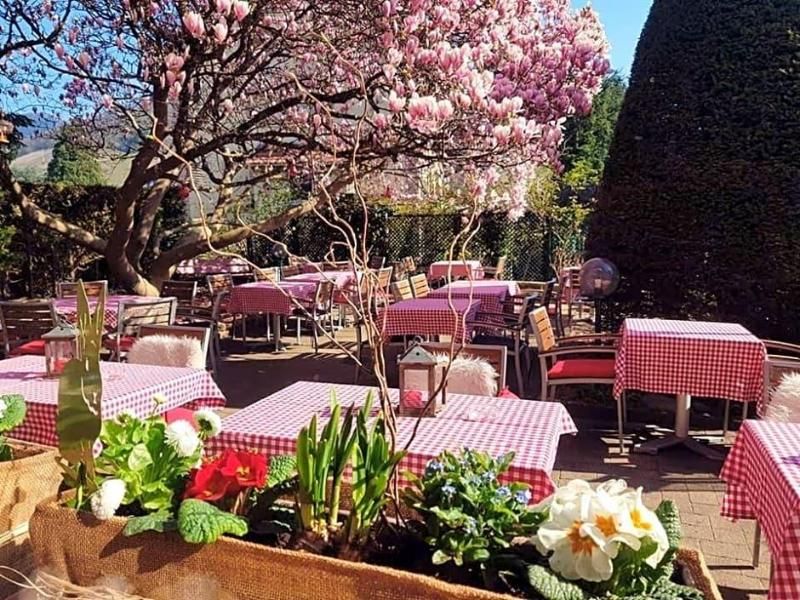 Hotel Restaurant Aux Sapins 2