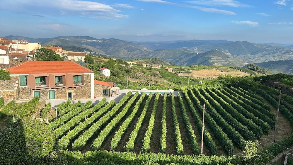 Casa do Santo - Wine & Tourism 1