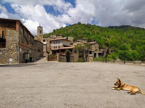 Hostal Pas De La Pera 2