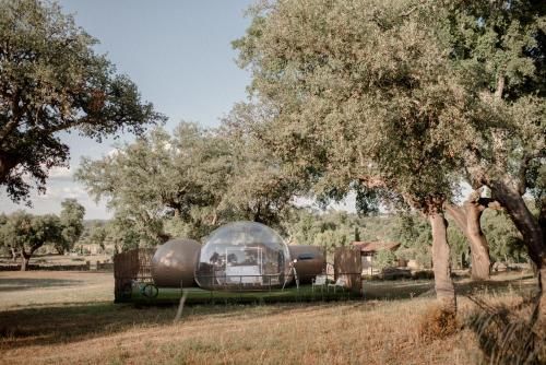 Finca El Cortiñal 3