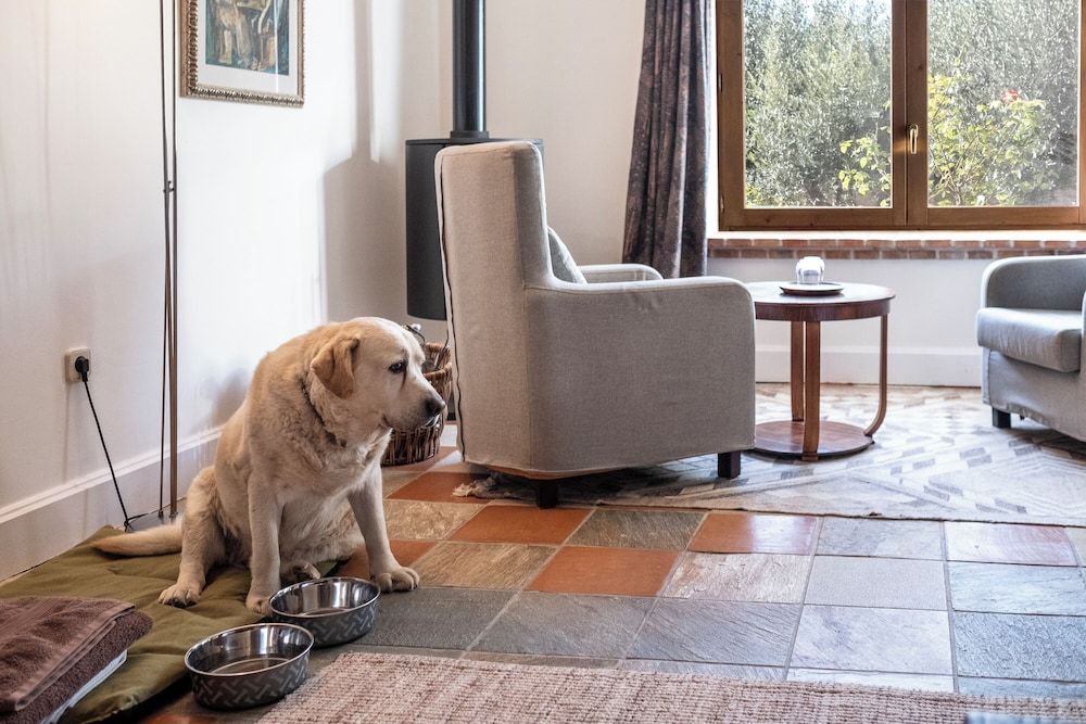 La Torre del Visco 1