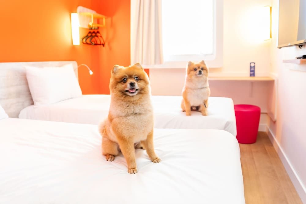 ibis budget São Caetano 2