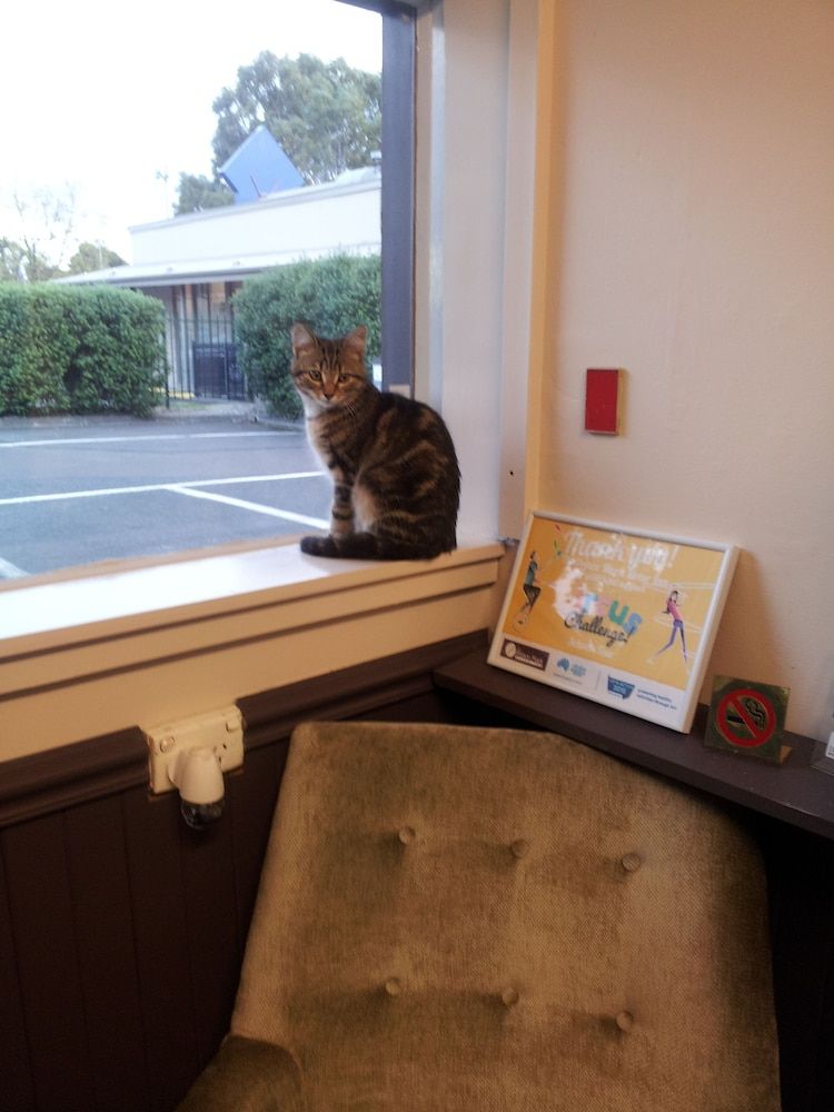 The Prince Mark Motor Inn 2