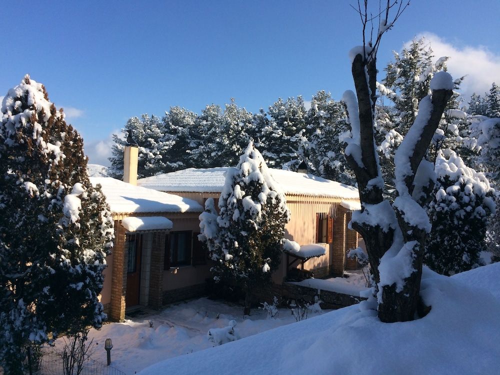 Finday Eco Boutique Hotel 2