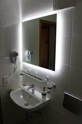 Hotel Hochdorfer Hirschen 1