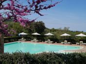 Borgo Etrusco S.p.A.