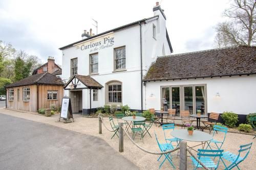 The Curious Pig in the Parlour -1 estrellas en Crawley