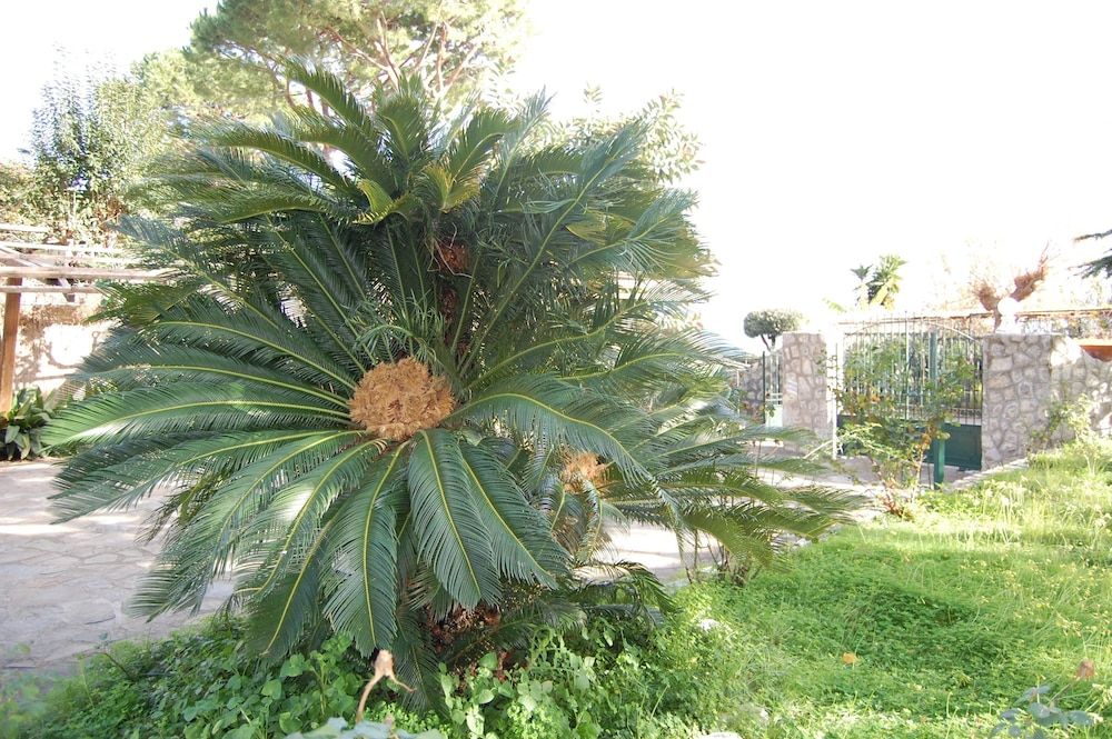 Marina Del Cantone Chalet 3