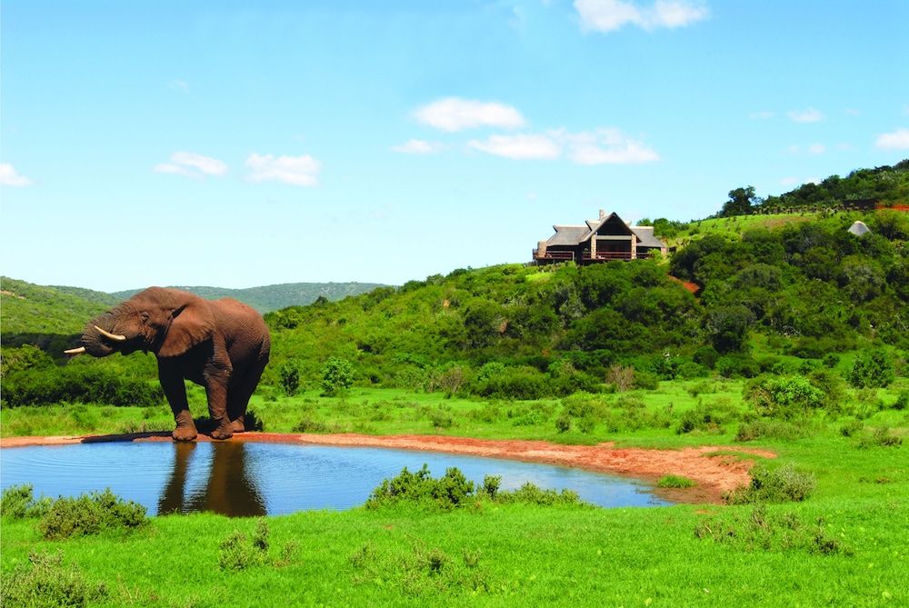 Hopewell Private Game Reserve
