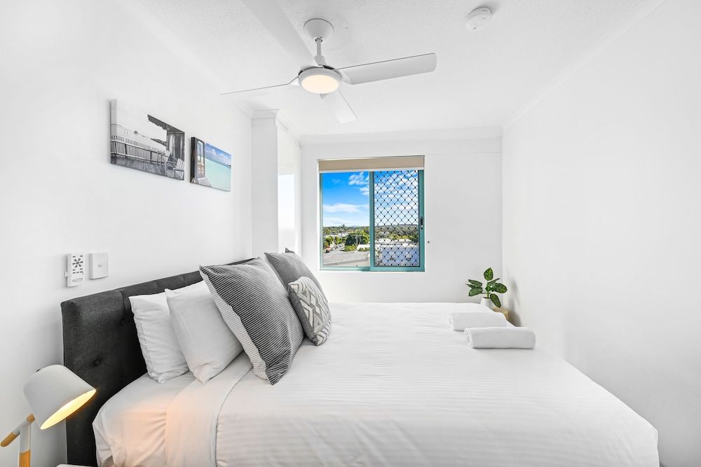 Norfolks on Moffat Beach 2