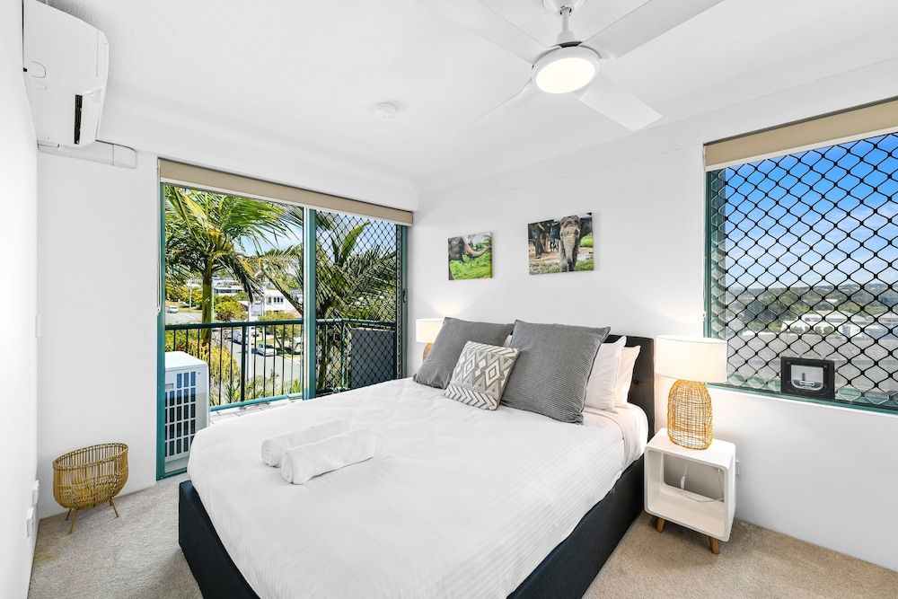 Norfolks on Moffat Beach 3