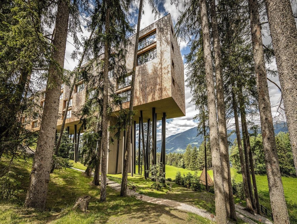 My Arbor - Adults Only 1