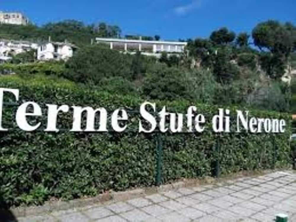 Hotel & Resort Bee Queen 3