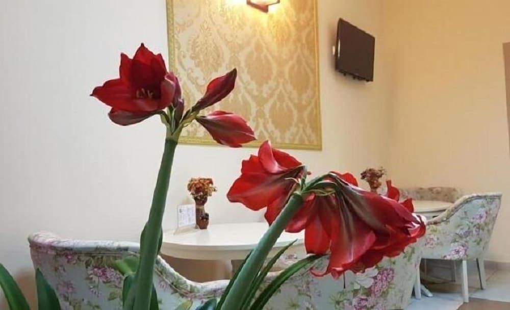 Hotel New 3 estrelas em Baia Mare