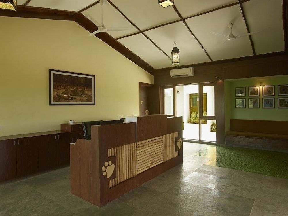 Asiatic Lion Lodge 2