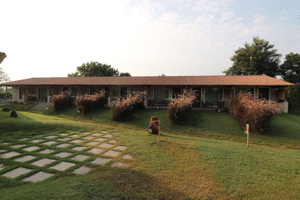 Asiatic Lion Lodge