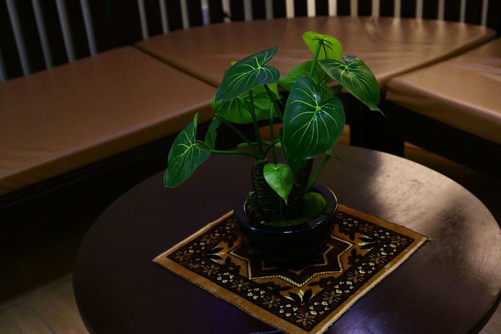 Brownwood Resort & Hotel 3