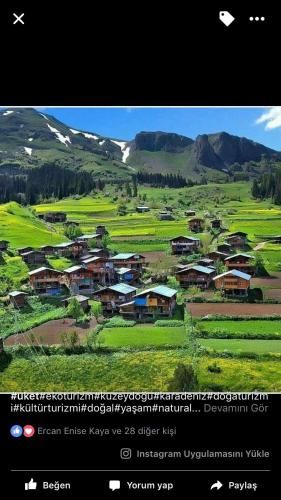 Hotel Green Valley Savsat 3