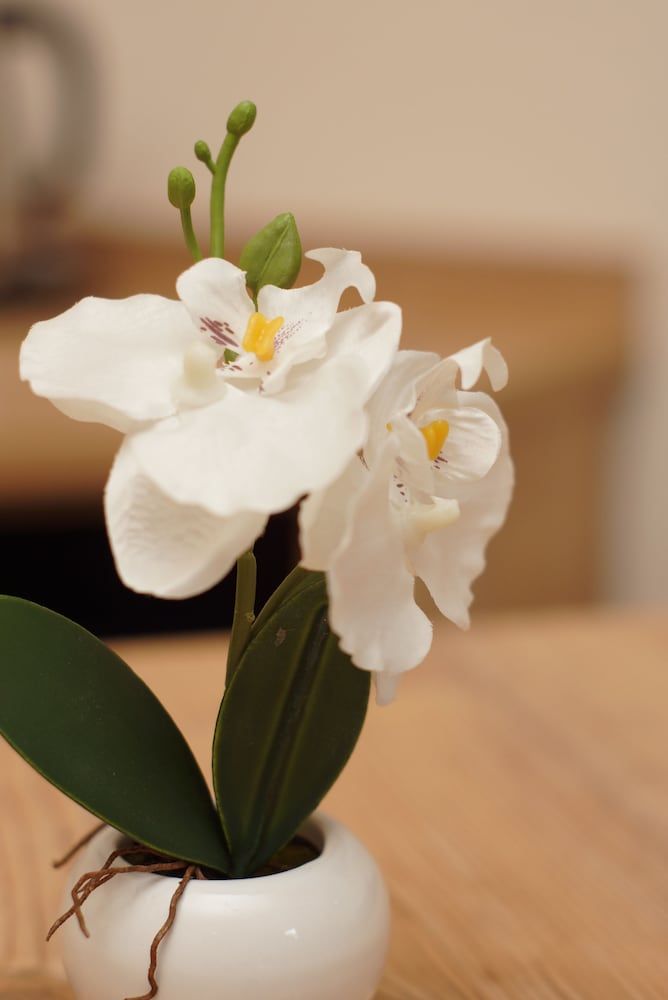 Der Marienhof Hotel Garni 3